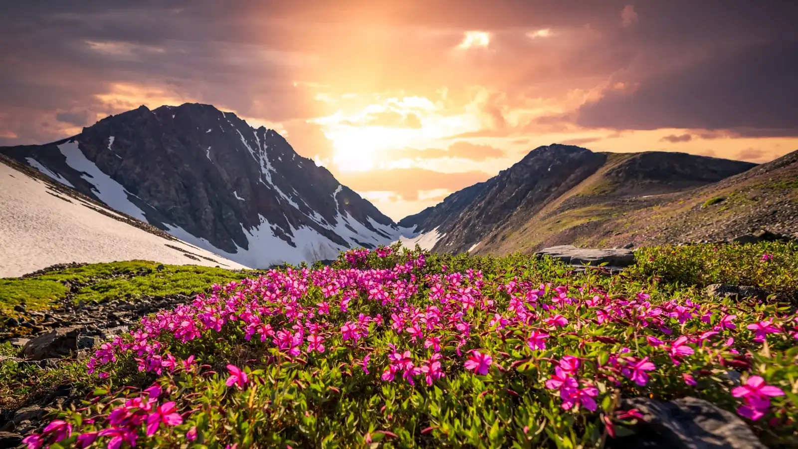 Himachal Pradesh