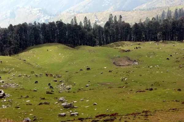 Manali Kasol Jibhi Tour